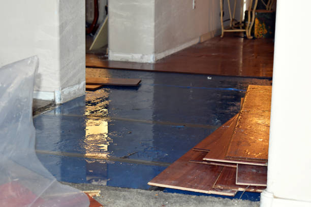 Professional Basement Flood Cleanup technician working in Harveysburg, OH